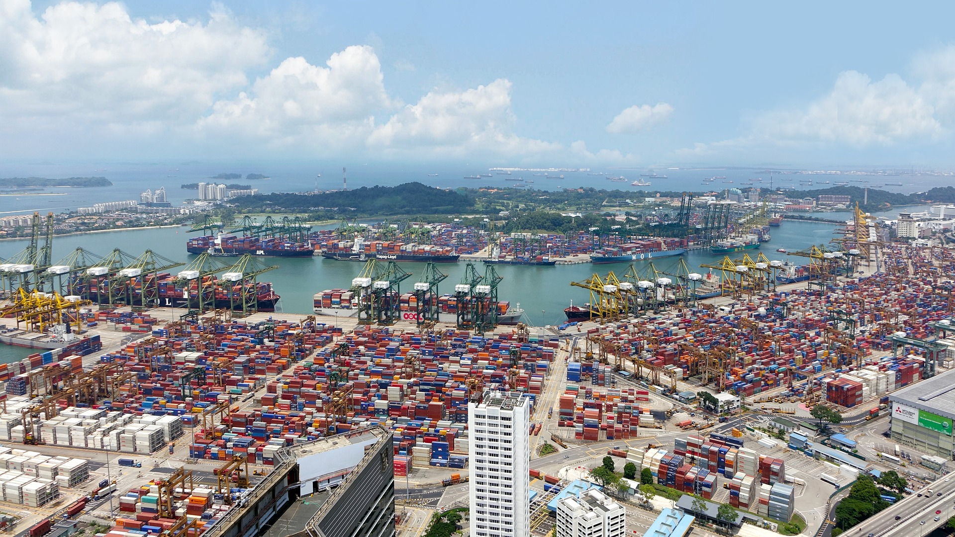 Transport i logística