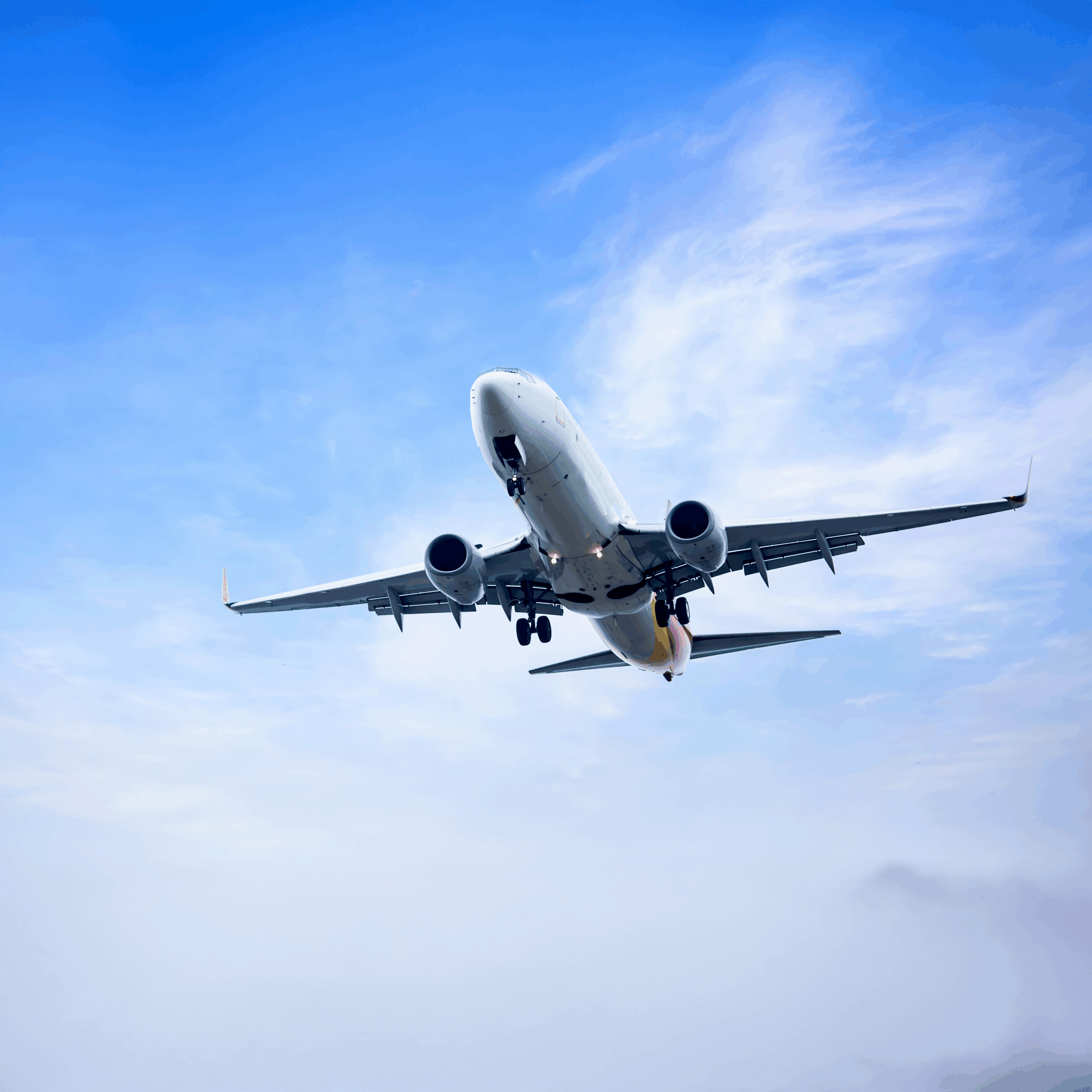 Avió volant