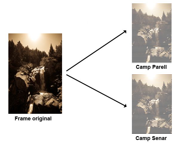 31_003.jpg 31_003.jpg