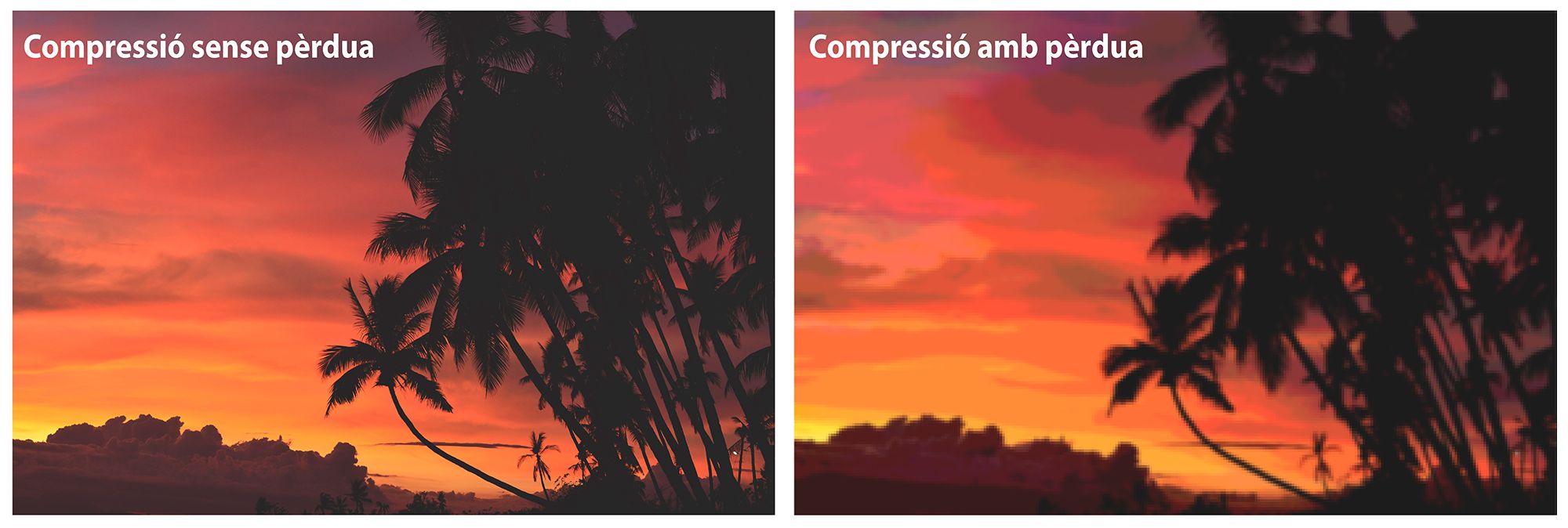 31_010.jpg 31_010.jpg