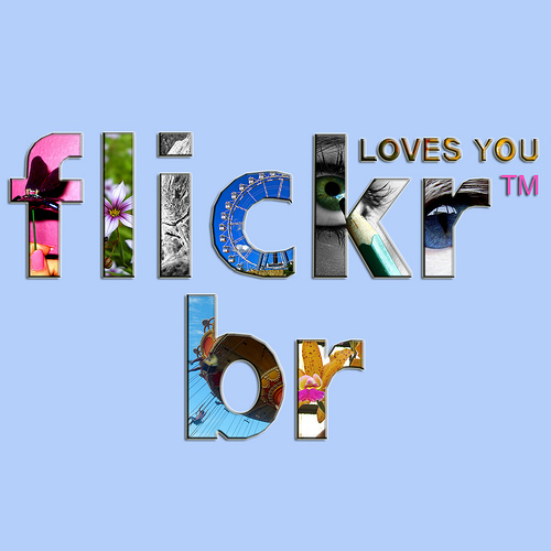 Logotip d'impacte visual de la marca Flickr/-40 Logotip d'impacte visual de la marca Flickr/-40