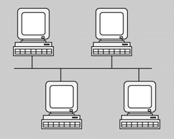 Topologia física en bus/50