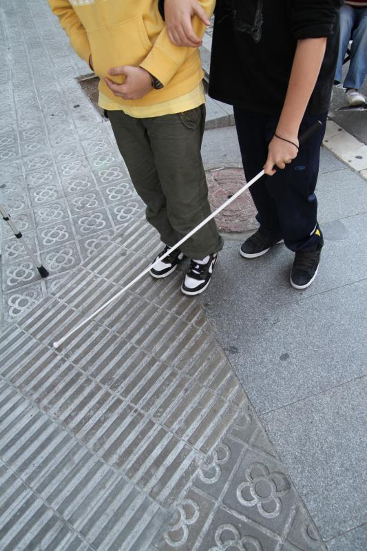 El bastó és un producte de suport per a persones amb diversitat sensorial. Font: Amputats Sant Jordi (Flickr) El bastó és un producte de suport per a persones amb diversitat sensorial. Font: Amputats Sant Jordi (Flickr)