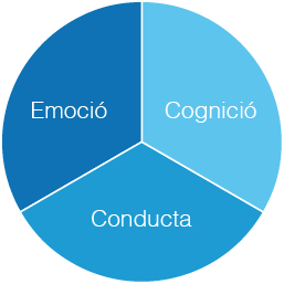 Factors implicats en les habilitats socials/-35