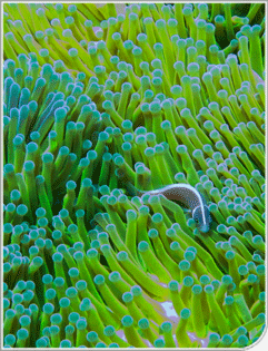 Informàtica i comunicacions