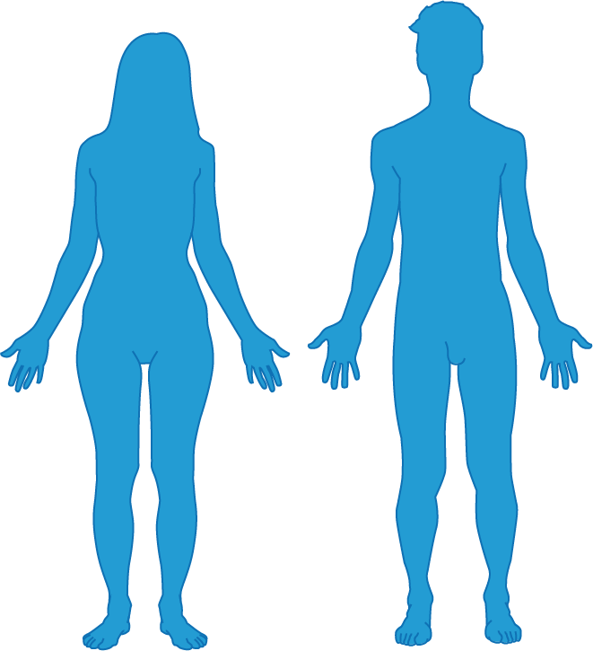 Posició anatòmica humana. Individu mirant cap endavant, peus en adducció i avantbraços en supinació./-35