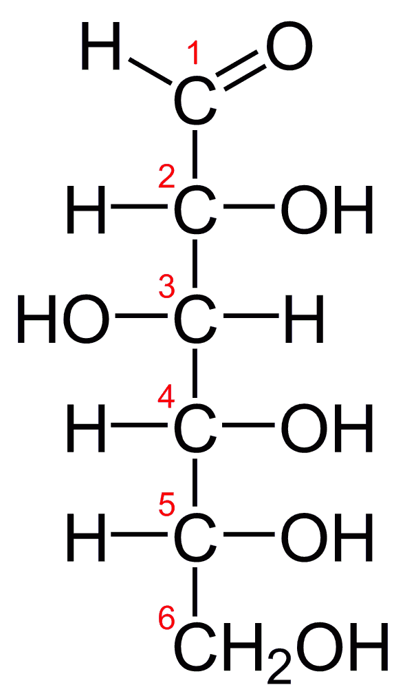 Estructura de la glucosa, un glúcid. Font: Wikimedia/50