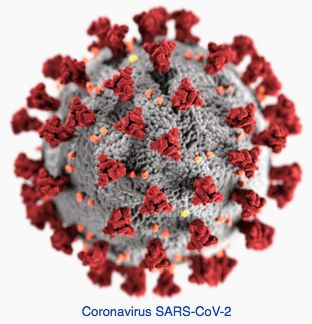 Virus (Font: Viquipèdia)/-25