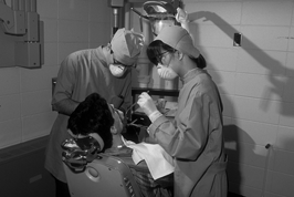 L'assistència sanitària inclou la malaltia comuna, la professional i l'accident no laboral. .