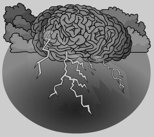 Brainstorming significa ‘pluja de cervells’. Es tracta que els participants generin el màxim d’idees possible, encara que semblin absurdes.