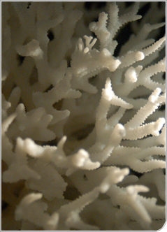 Informàtica i comunicacions