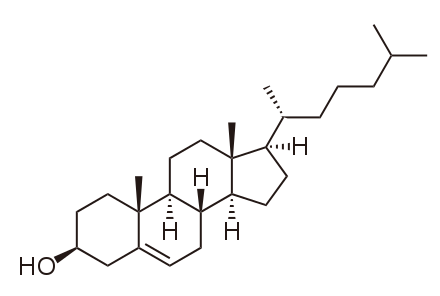 Estructura del colesterol, un lípid (font: Wikimedia)/20