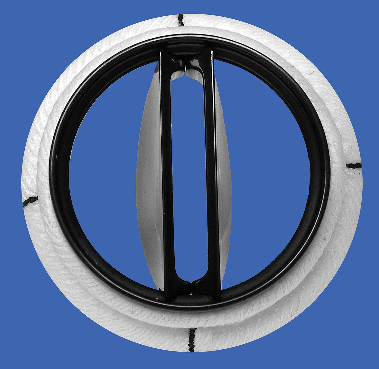 Vàlvula mitral mecànica. Font: Wikimedia Commons.