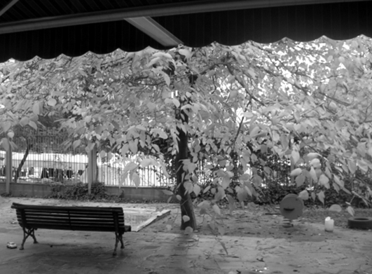 Zona coberta als espais exteriors. EBM El Vent, Barcelona