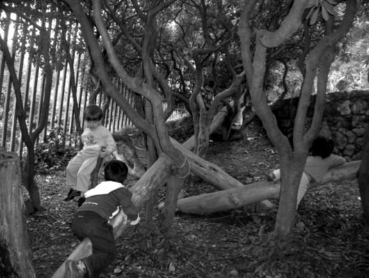 Un petit bosc, un hort o jardí: necessitem espais verds! Escola Parc del Guinardó, Barcelona./-30