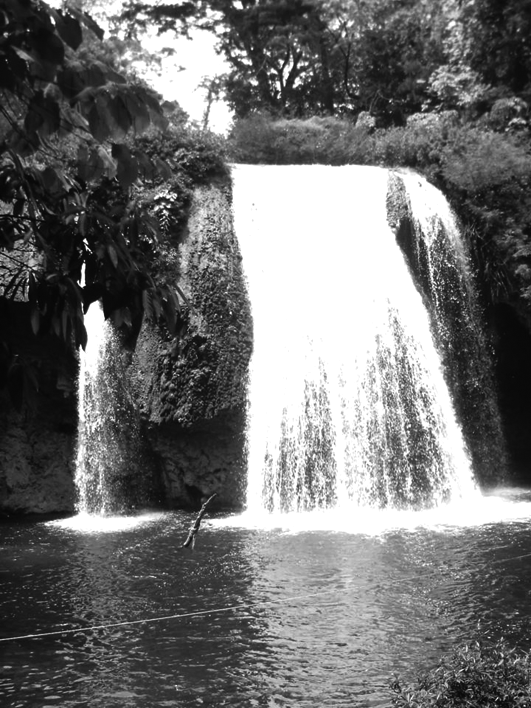 La natura ens dóna una aigua neta, de la qual també hem de tenir cura, com de la resta del medi ambient./7 La natura ens dóna una aigua neta, de la qual també hem de tenir cura, com de la resta del medi ambient./7