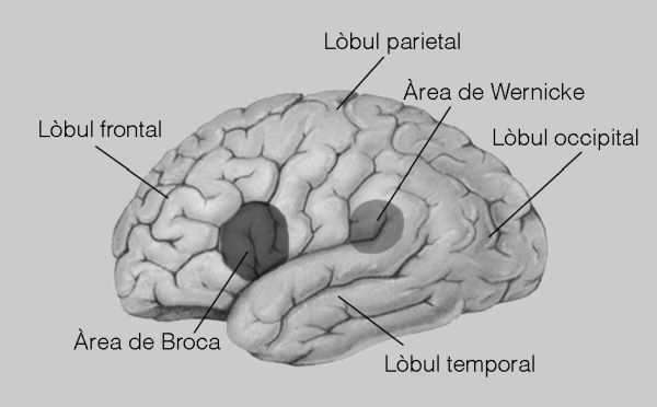 scb0m5u1_09.jpg scb0m5u1_09.jpg