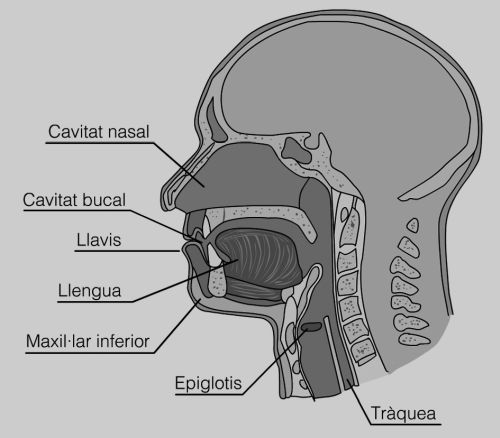 scb0m5u1_23.jpg scb0m5u1_23.jpg