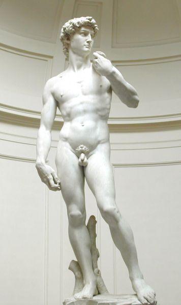 El David de Miguel Angel s’ha convertit en un exemple de bellesa en l’art per les seves proporcions.  