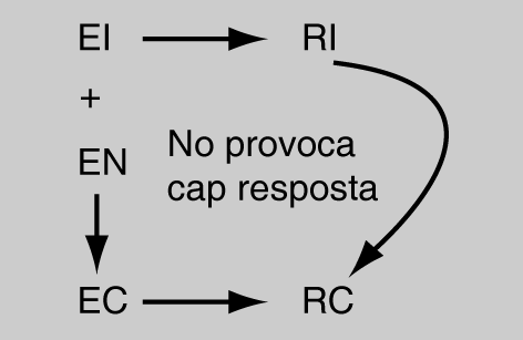Esquema del condicionament clàssic. Des d'EI surt una fletxa horitzontal cap a RI. a sota d'EI diu + EN. Al costat d'EN diu "No provoca cap resposta". Des d'EN surt una fletxa vertical cap a EC. Des d'RI i des d'EC surten fletxes cap a RC./-18 Esquema del condicionament clàssic. Des d'EI surt una fletxa horitzontal cap a RI. a sota d'EI diu + EN. Al costat d'EN diu "No provoca cap resposta". Des d'EN surt una fletxa vertical cap a EC. Des d'RI i des d'EC surten fletxes cap a RC./-18
