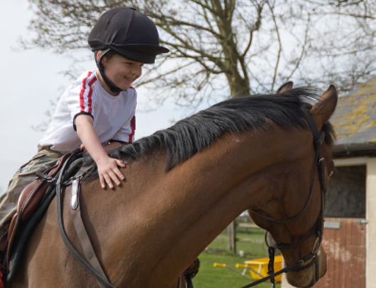  La hipoteràpia s’integra en molts programes d’estimulació/-25