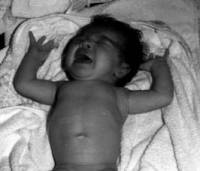 Si té gana plora, si té son plora, si està incòmode plora. Si té gana plora, si té son plora, si està incòmode plora.