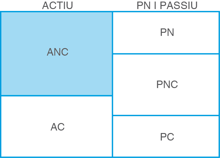 Posició de l'actiu no corrent dins l'estructura del balanç