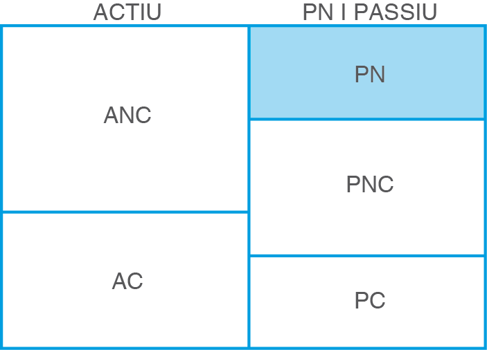 Posició del patrimoni net dins l'estructura del balanç