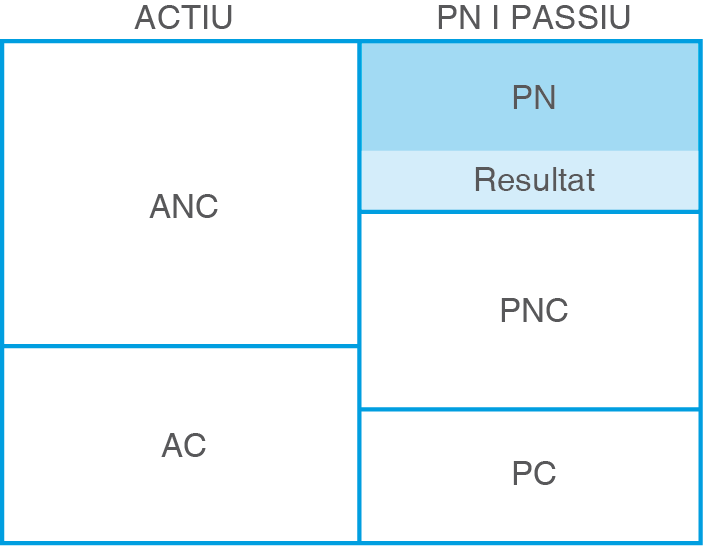 El resultat de l'exercici forma part del PN