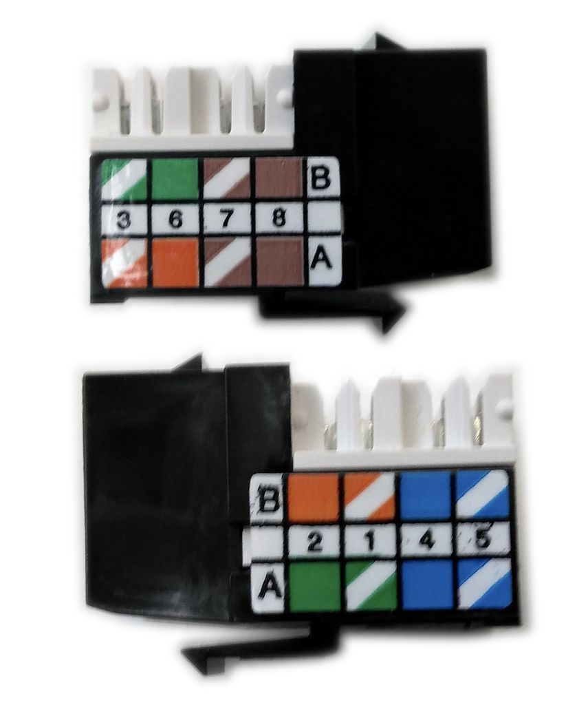 Identificació dels terminals d'un connector RJ-45 femella. .