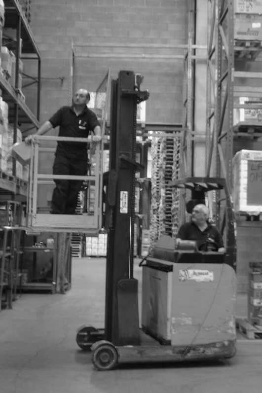 En casos excepcionals, està permesa la utilització de plataformes de treball d'ús temporal. .