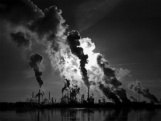  Els contaminants químics estan formats per matèria “no viva”, tant si és orgànica com inorgànica.