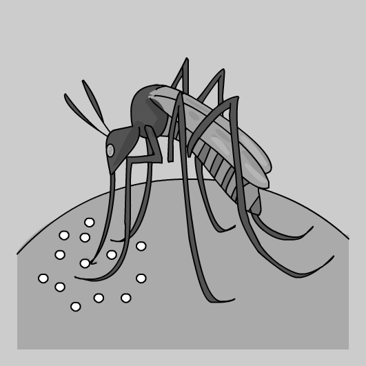 Transmissió per vectors Transmissió per vectors