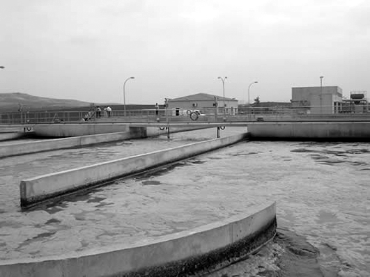 Les depuradores tracten les aigües residuals. Les depuradores tracten les aigües residuals.