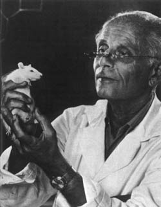 Hans Selye (1907-1982), psiquiatre, el 1936 va prendre el terme estrès, que en física s'utilitza com a sinònim de tensió, i va definir aquest concepte com “una resposta inespecífica de l'organisme a tota exigència que s'exerceix sobre ell”.