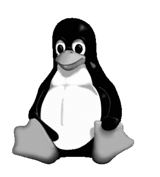 Aquest pingüí, de nom Tux, és el logotip de Linux