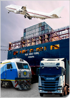 Comerç i màrqueting