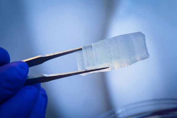 Impressió 3D amb biomaterials. .